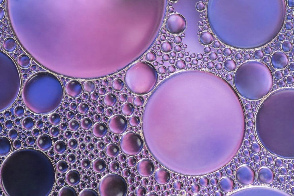 Blood Marrow Transplant Recovery Timeline