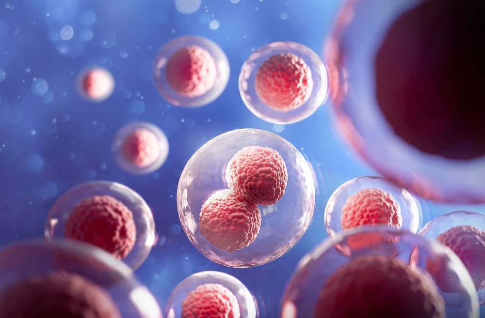 The Science of Stem Cells and Cellular Regeneration