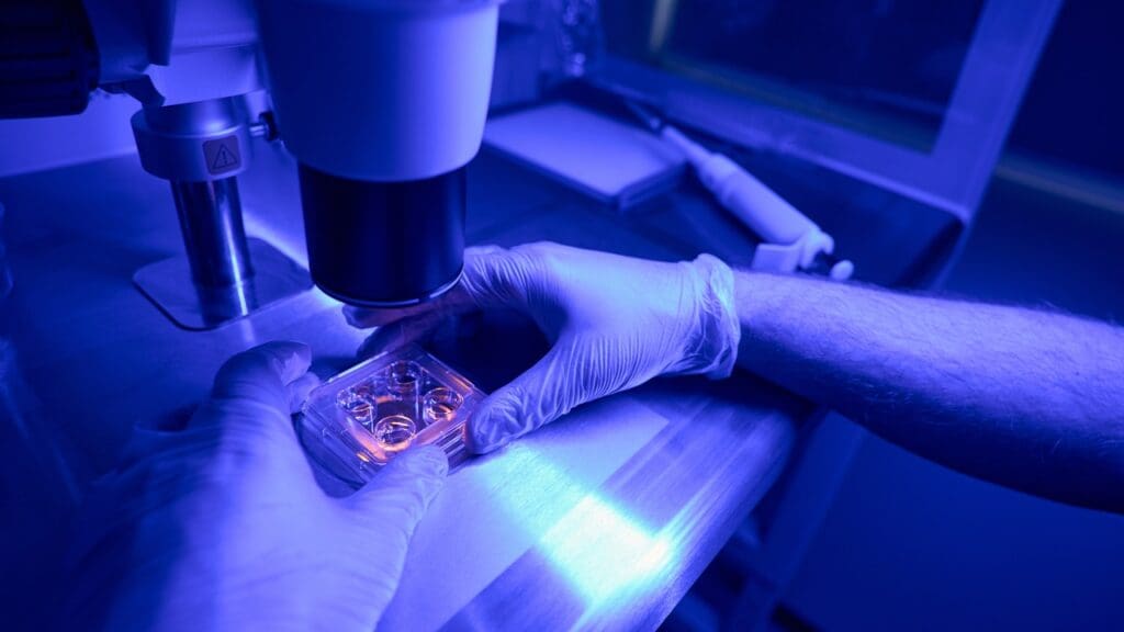 Stem Cell Activation