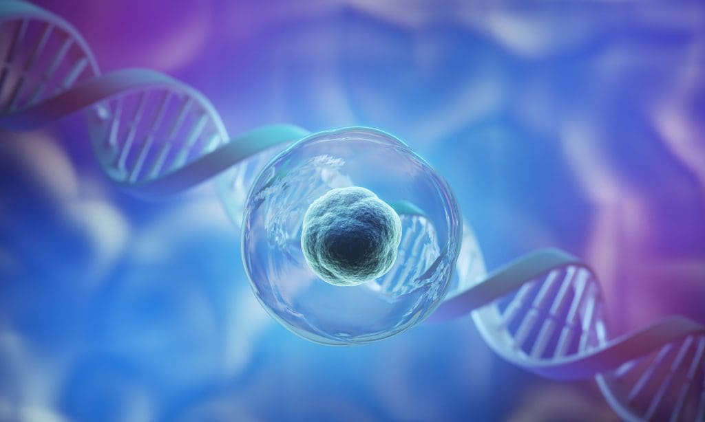 What diseases are treated by stem cells?