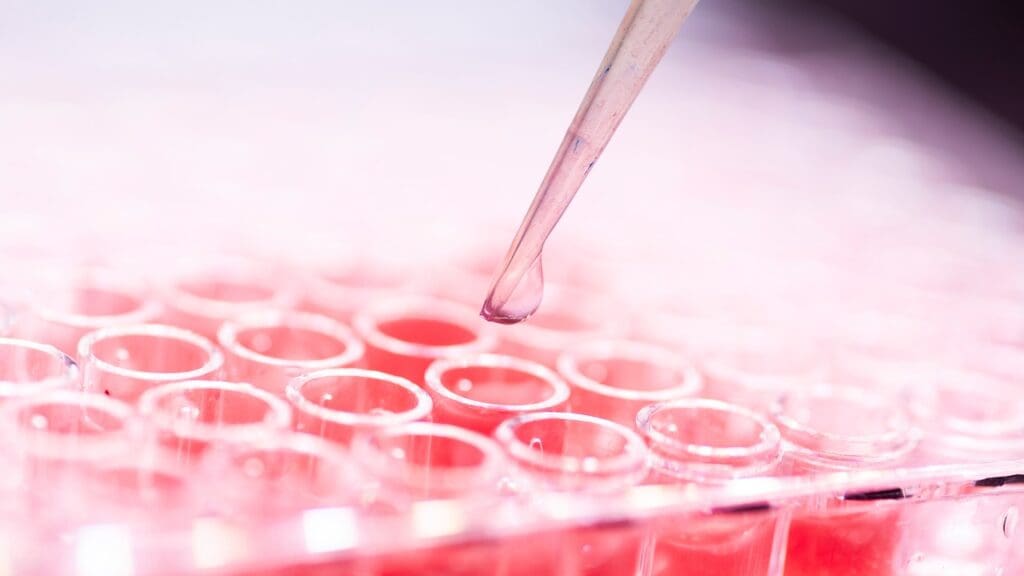 Stem Cell Activation