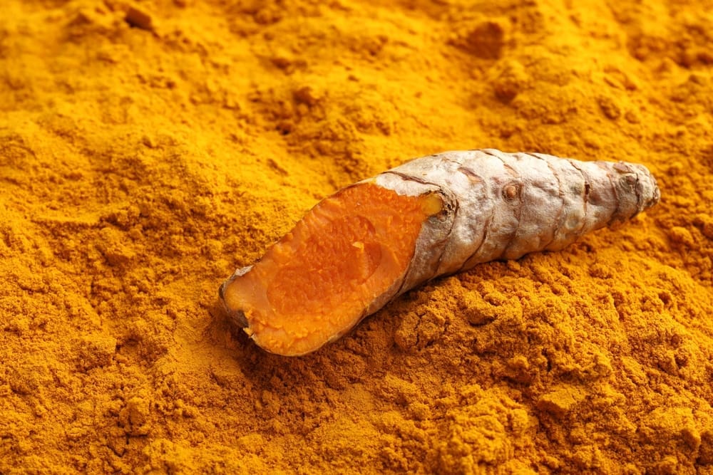 Turmeric root and powder highlighting curcumin benefits for stem cell health.