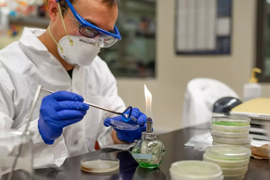 A detailed cross-section of red bone marrow, the blood cell production center. In the foreground, vibrant hematopoietic stem cells divide and differentiate into various blood cell types. The middle ground reveals the intricate vascular network nourishing the marrow. Warm, ambient lighting casts soft shadows, highlighting the dynamic cellular activity. The background depicts the supportive stromal cells and fat tissue that provide a nurturing microenvironment. Rendered in a scientific, anatomical style with a focus on the marrow's vital blood-generating function.