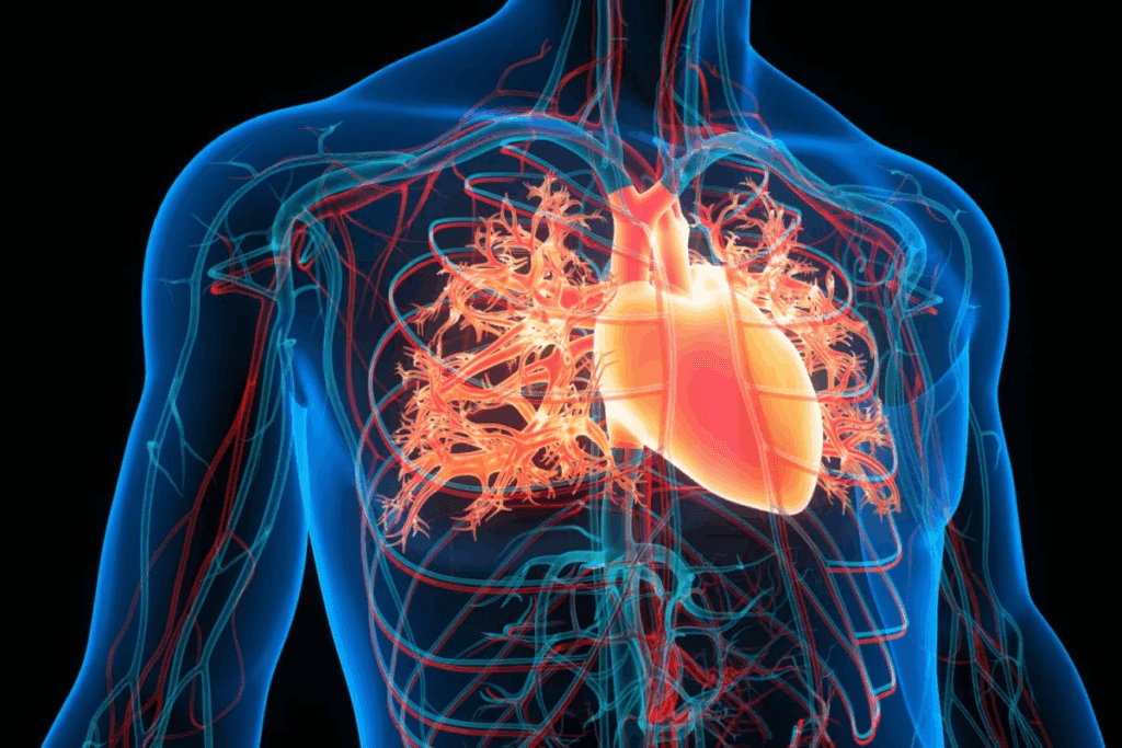 What Is Coronary Artery Disease CAD: 10 Facts