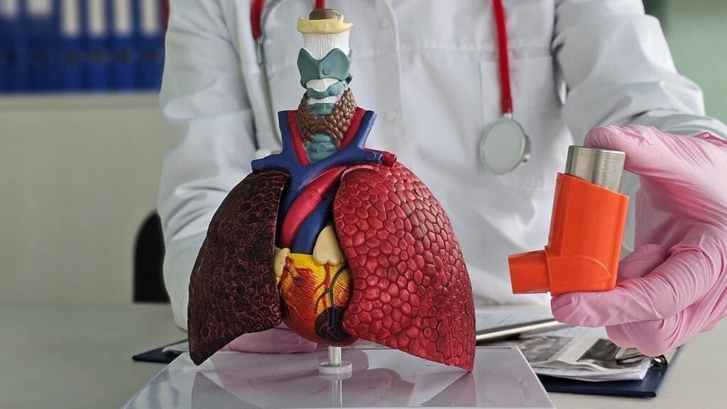 7 Essential Facts About Meningioma Removal, Surgery, and Treatment Options